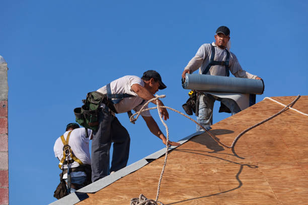 Best Roof Gutter Cleaning  in South Charleston, WV
